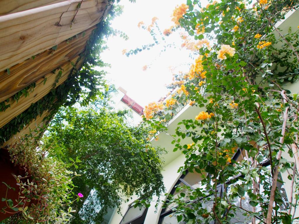 Posia 122 Apartman Tajnan Kültér fotó